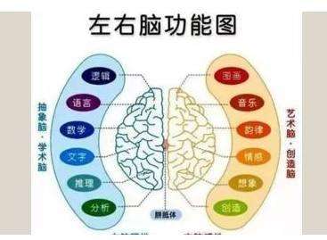 择思达斯经颅磁_脑萎缩有哪些症状及危害呢?